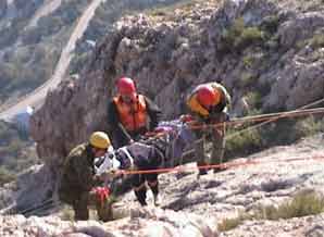 При помощи спецснаряжения спасатели подняли пострадавшего  наверх