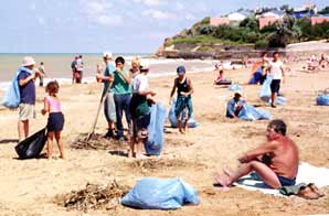 Пляж в Орловке убирали 52 добровольца