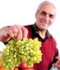 Цена на самый красивый виноград на рынке доходит до 15 гривен за килограмм