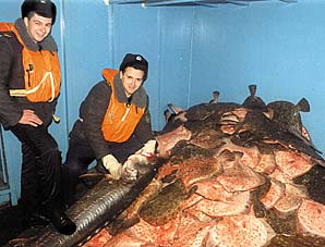 Морские пограничники поймали турецкое судно с браконьерским уловом в территориальных водах Украины