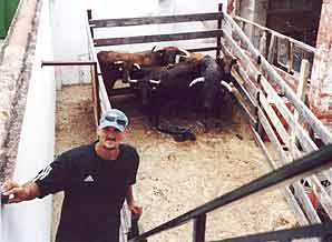 Руслан Зайцев: «Бой быков в Испании я не видел, но бегать от них по улицам приходилось.»