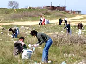 Экологи убирают побережье в парке Победы