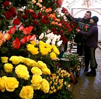 Цены на цветы 23 февраля не поднимались