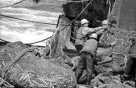 Севастопольские рыбаки на океанском промысле