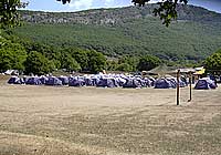 На месте стоянки лагеря адвентистов трава вырастет года через два