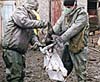 Бойцы МЧС в костюмах химической защиты уничтожают всю домашнюю птицу