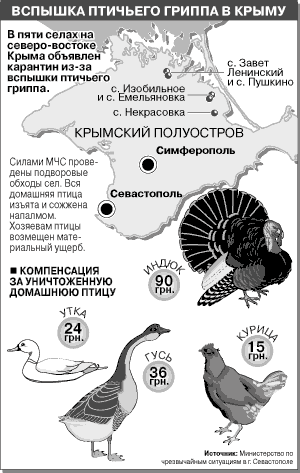 Вспышка птичьего гриппа в Крыму