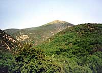 Вид на гору Тарпан-Баир из села Родниковое