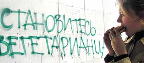 Пропаганда вегетарианства на заборах Севастополя